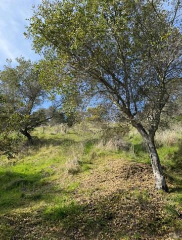 0 Coleman Drive San Rafael CA 94901
