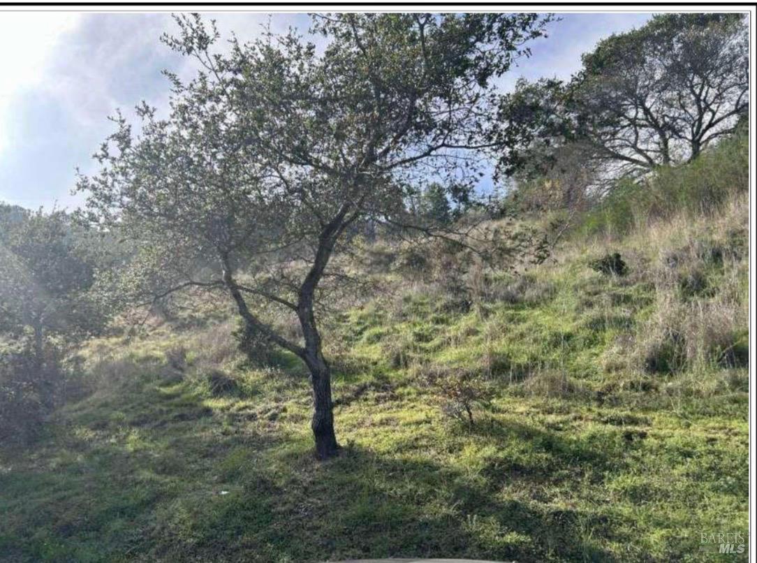 0 Coleman Drive San Rafael CA 94901
