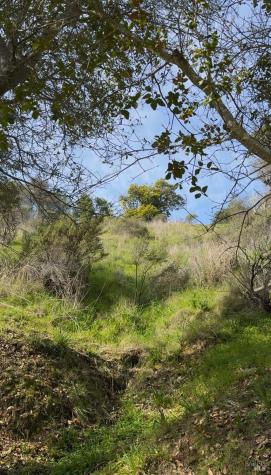 0 Coleman Drive San Rafael CA 94901