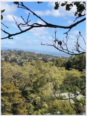0 Coleman Drive San Rafael CA 94901