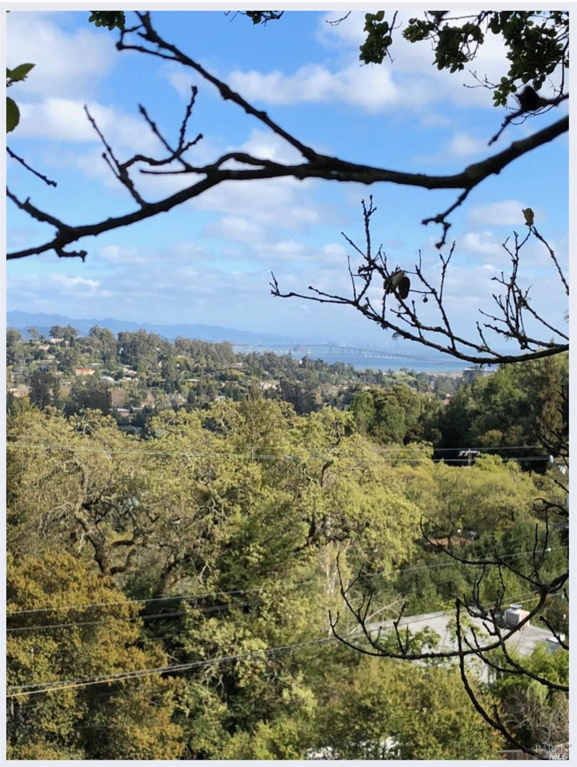 0 Coleman Drive San Rafael CA 94901