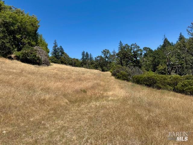 6355 First Gate Road Willits CA 95490
