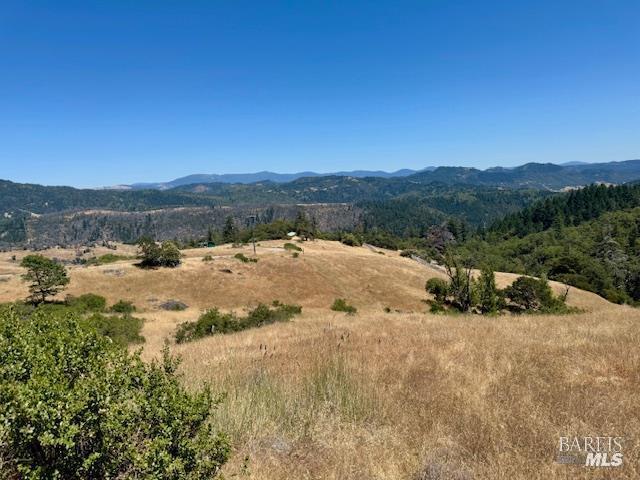 6355 First Gate Road Willits CA 95490