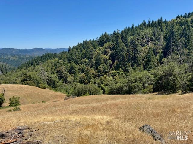 6355 First Gate Road Willits CA 95490