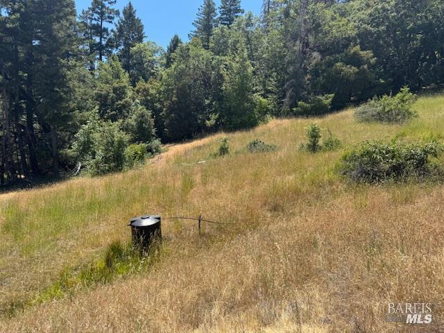 6355 First Gate Road Willits CA 95490