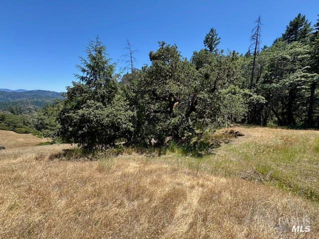 6355 First Gate Road Willits CA 95490