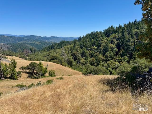 6355 First Gate Road Willits CA 95490