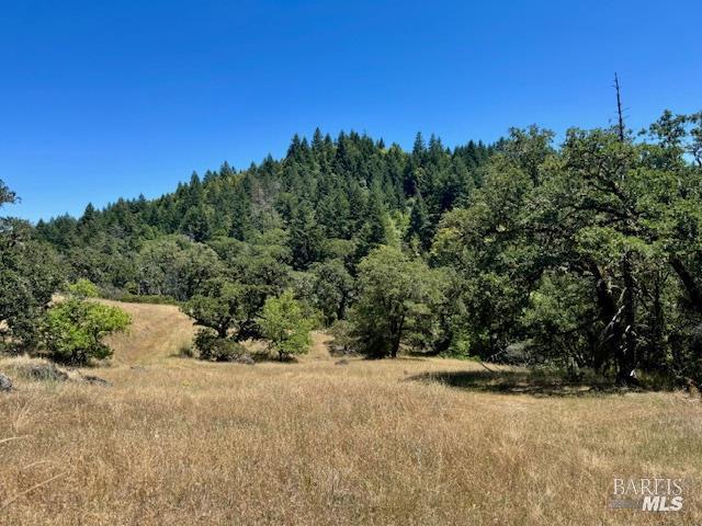 6355 First Gate Road Willits CA 95490