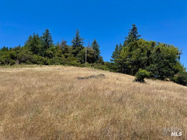 6355 First Gate Road Willits CA 95490