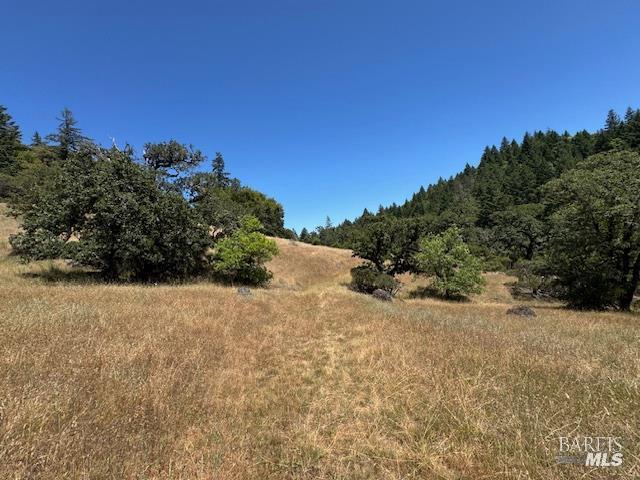 6355 First Gate Road Willits CA 95490