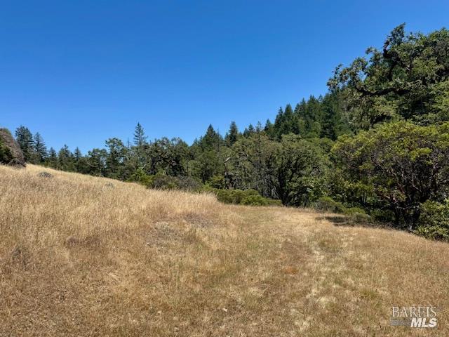 6355 First Gate Road Willits CA 95490