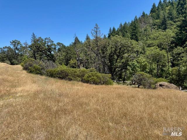 6355 First Gate Road Willits CA 95490