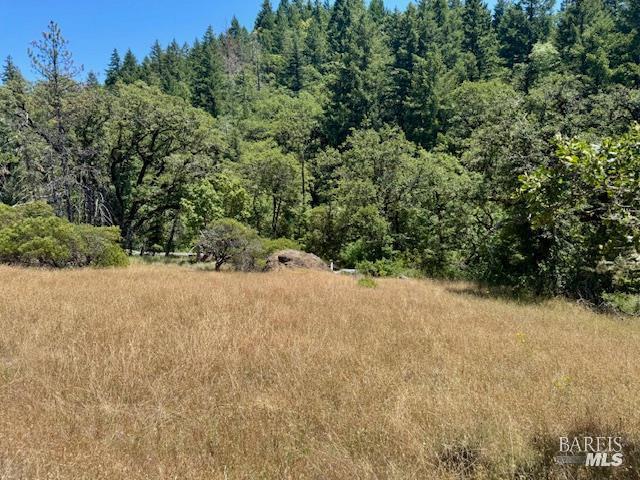 6355 First Gate Road Willits CA 95490