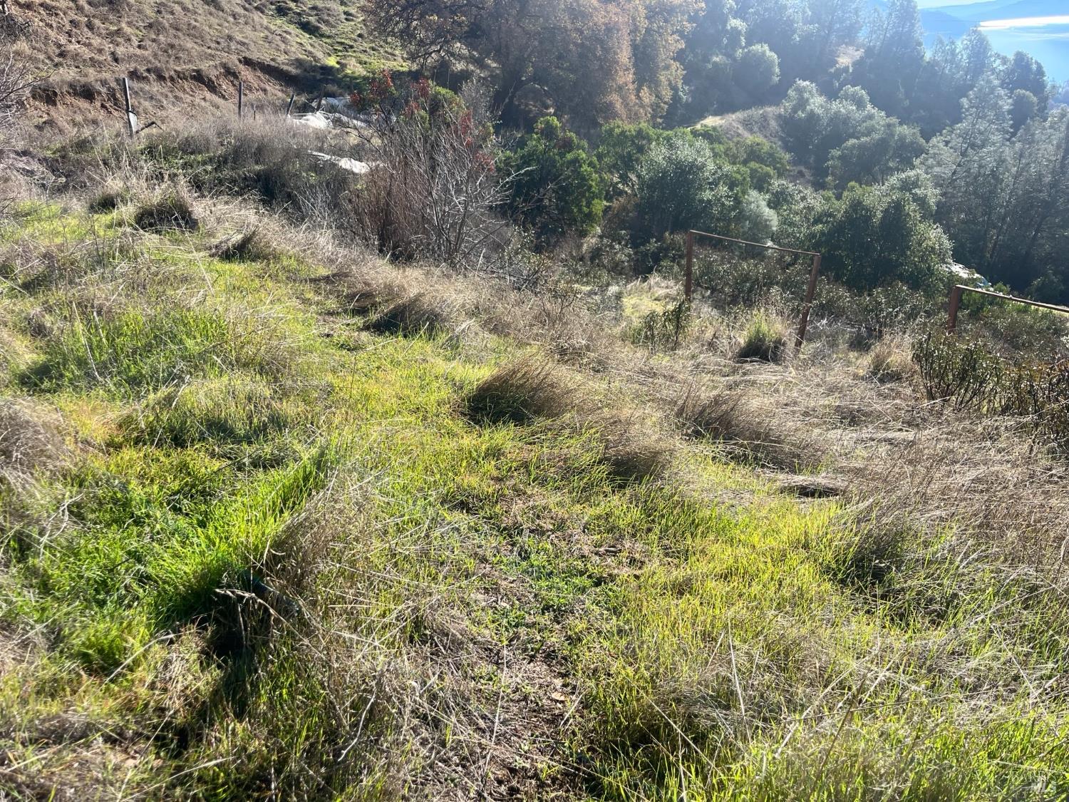 6319 Aileen Trail Lucerne CA 95458