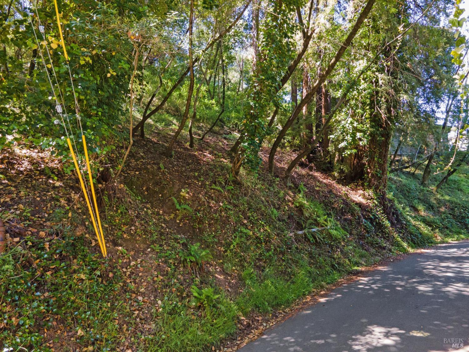 160 Spring Grove Avenue San Anselmo CA 94960