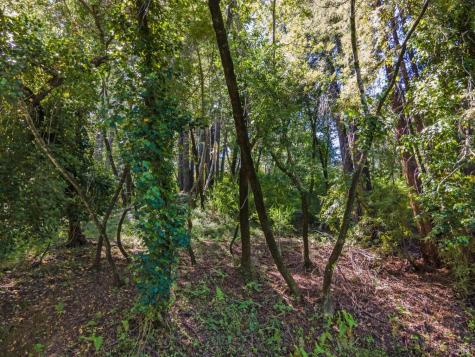 160 Spring Grove Avenue San Anselmo CA 94960