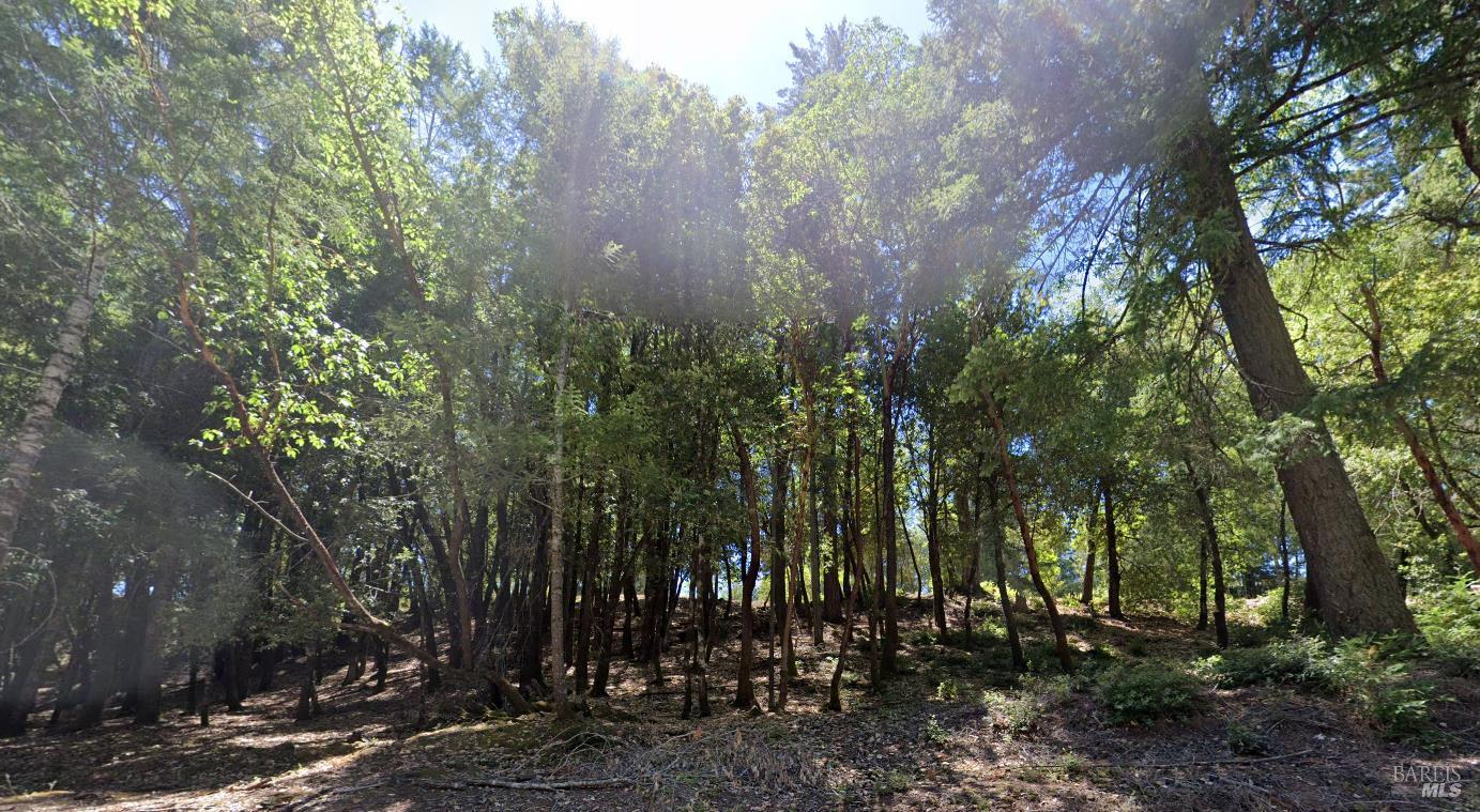 24921 Clover Road Willits CA 95490
