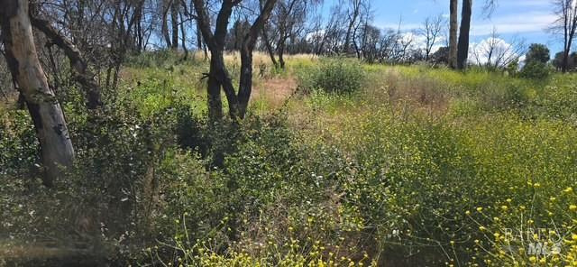 16001 11th Avenue Clearlake CA 95422