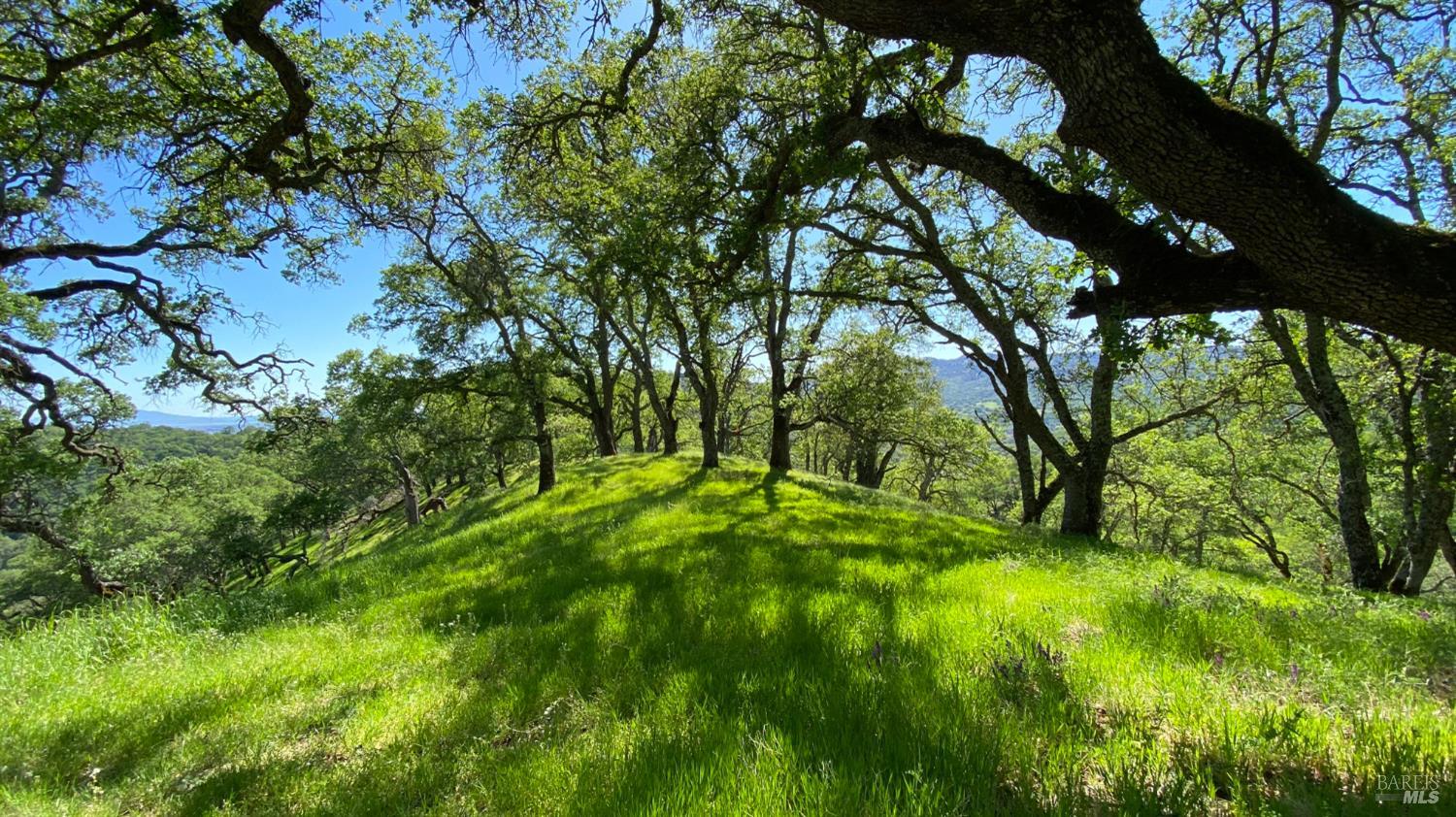 0 Grandview Road Napa CA 94558