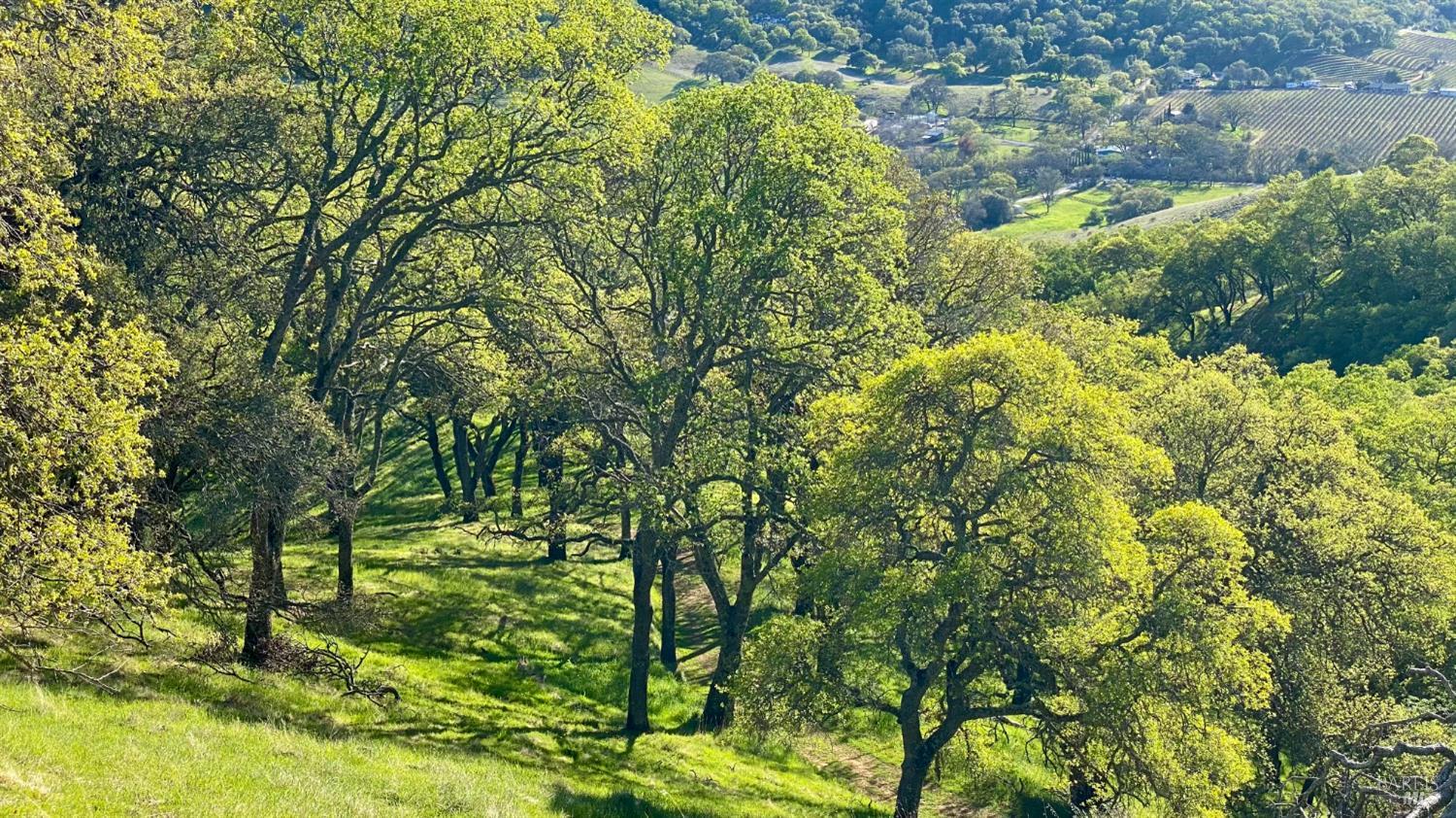 0 Grandview Road Napa CA 94558