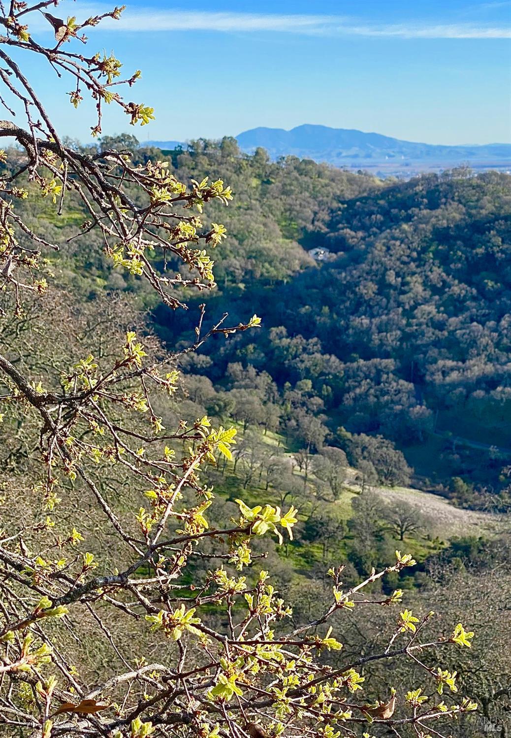 0 Grandview Road Napa CA 94558