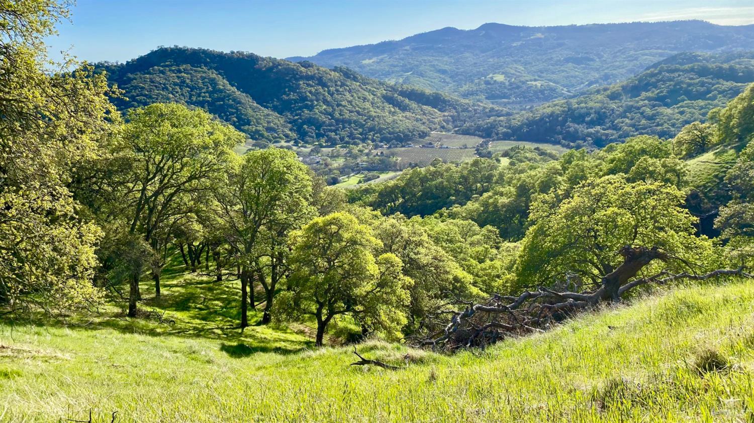 0 Grandview Road Napa CA 94558