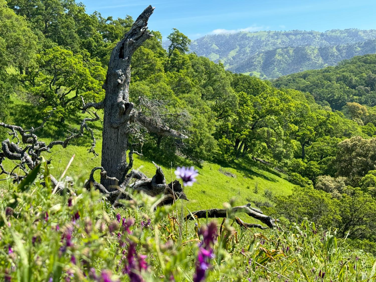 0 Grandview Road Napa CA 94558