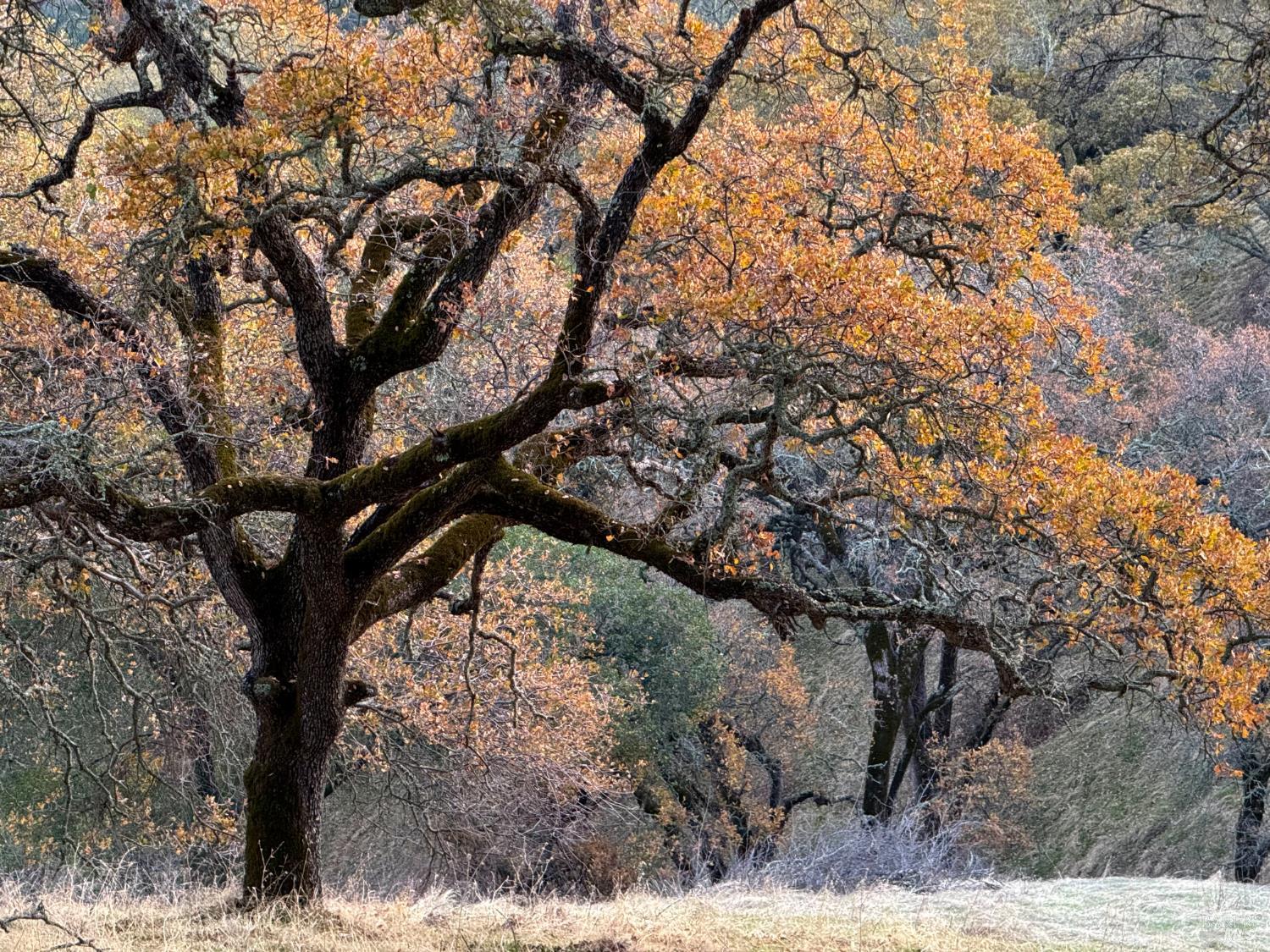 0 Grandview Road Napa CA 94558