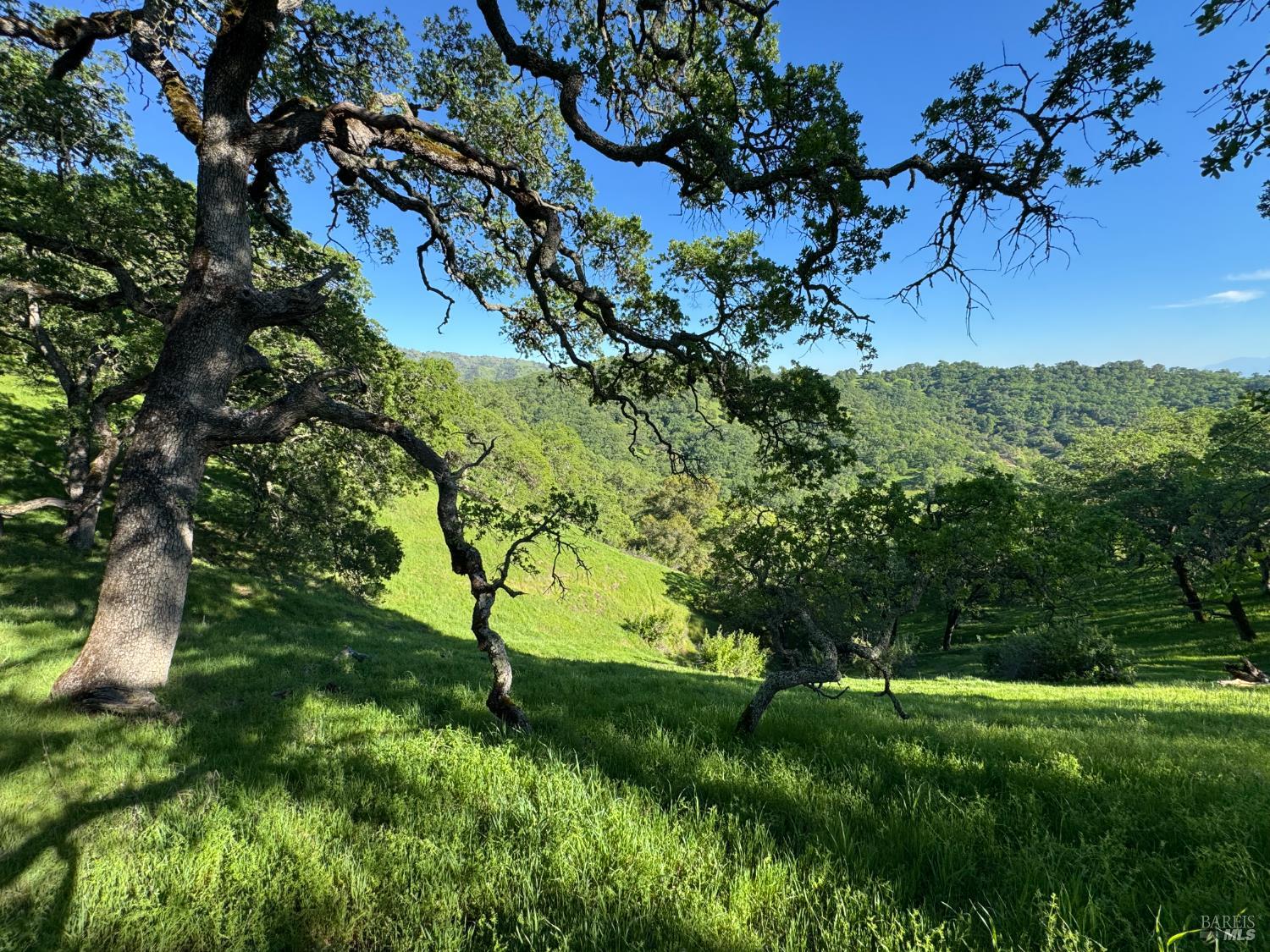 0 Grandview Road Napa CA 94558