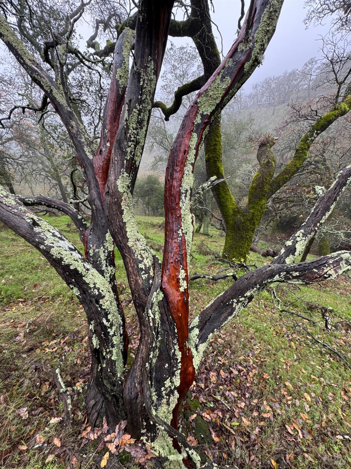 0 Grandview Road Napa CA 94558