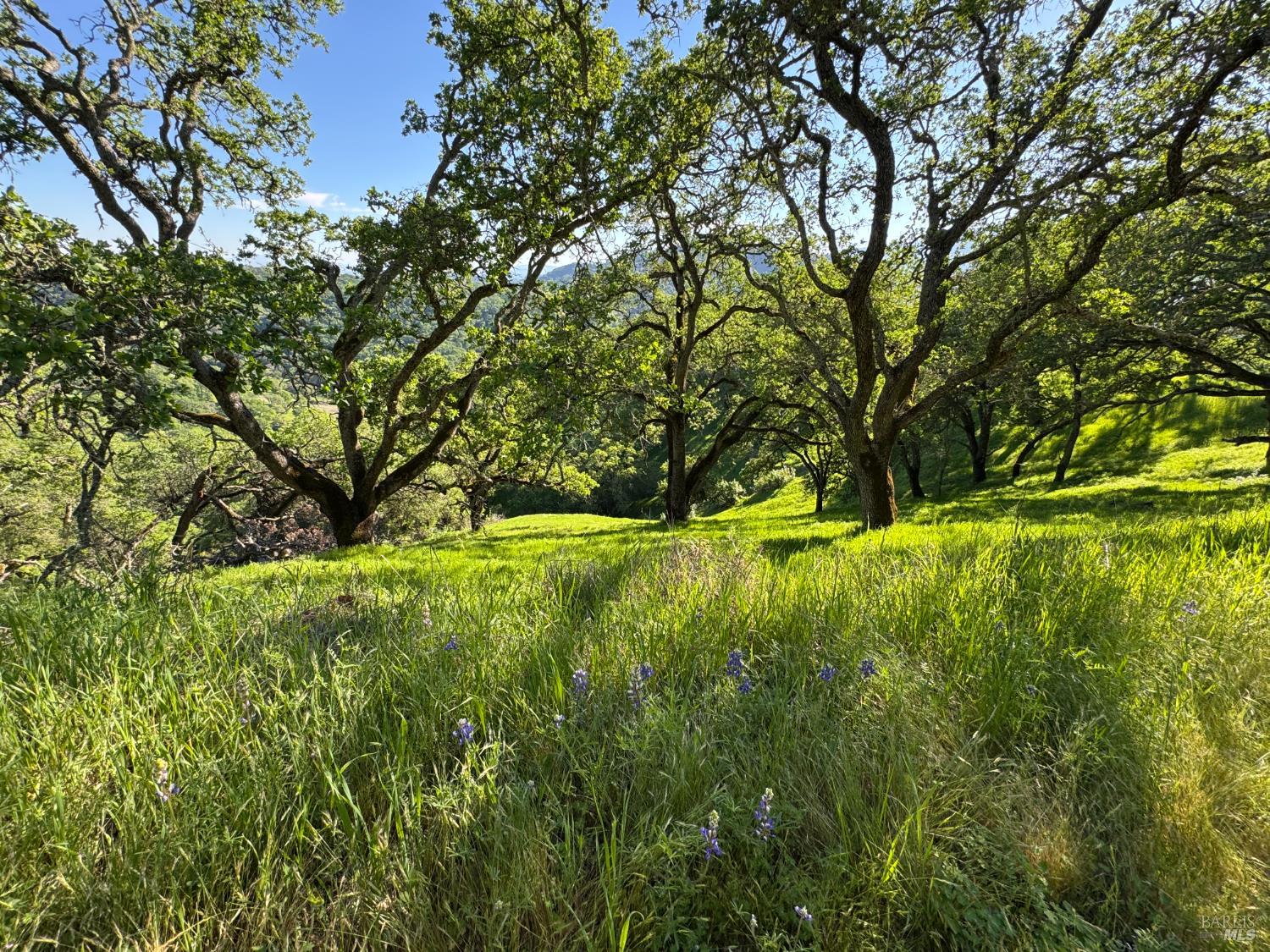 0 Grandview Road Napa CA 94558