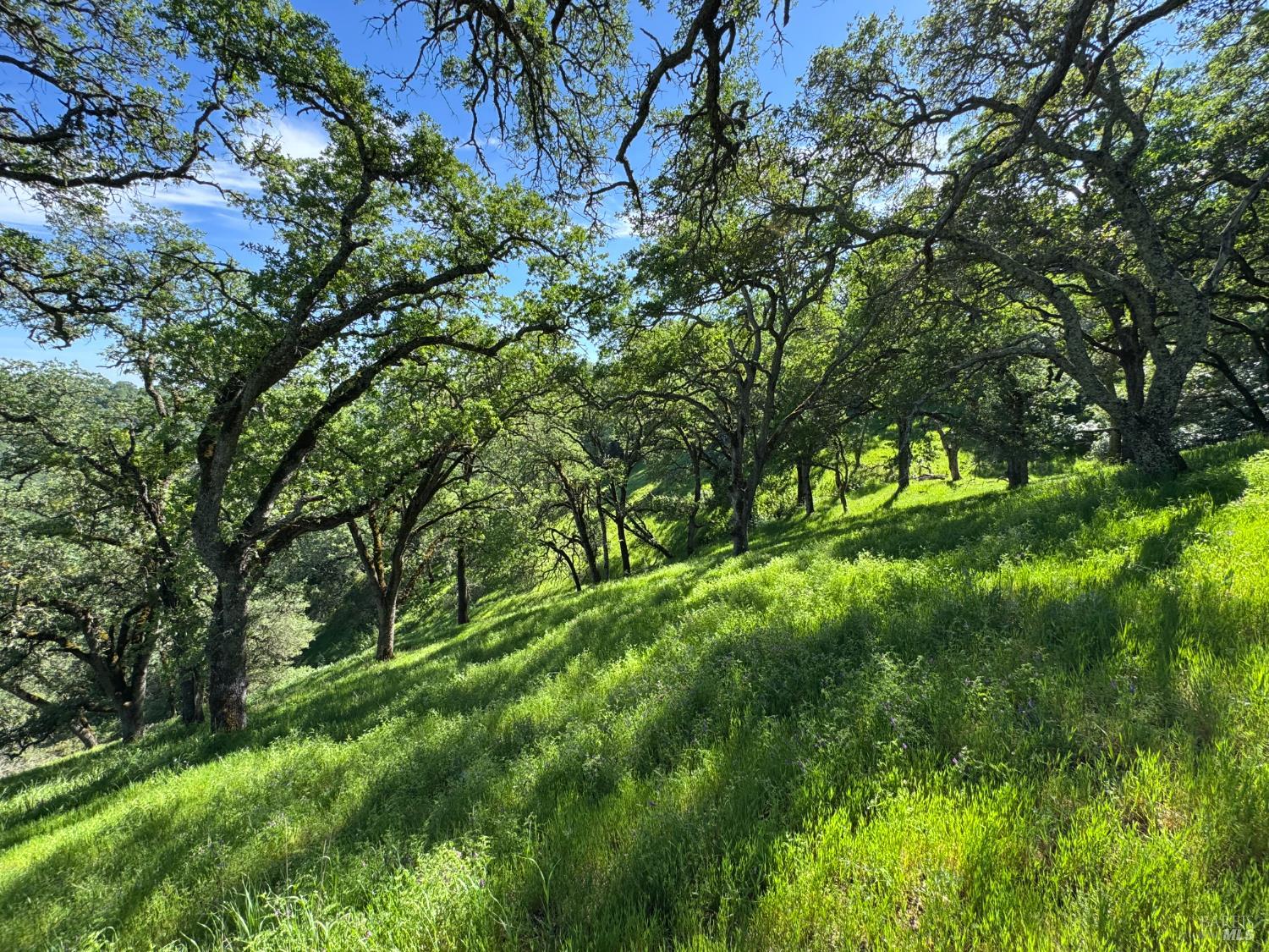 0 Grandview Road Napa CA 94558