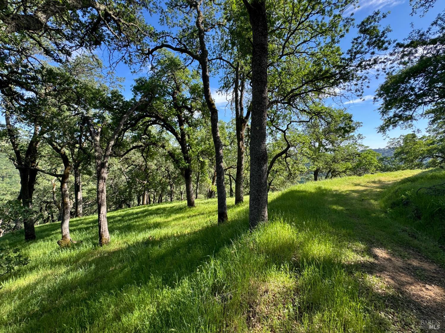 0 Grandview Road Napa CA 94558