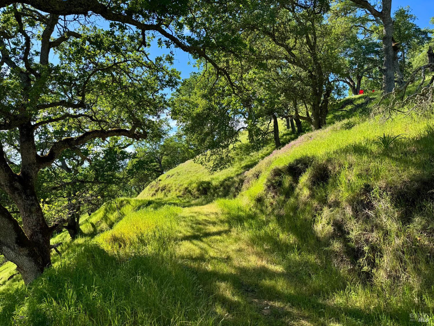0 Grandview Road Napa CA 94558