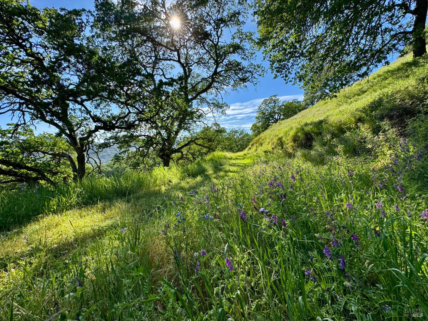 0 Grandview Road Napa CA 94558