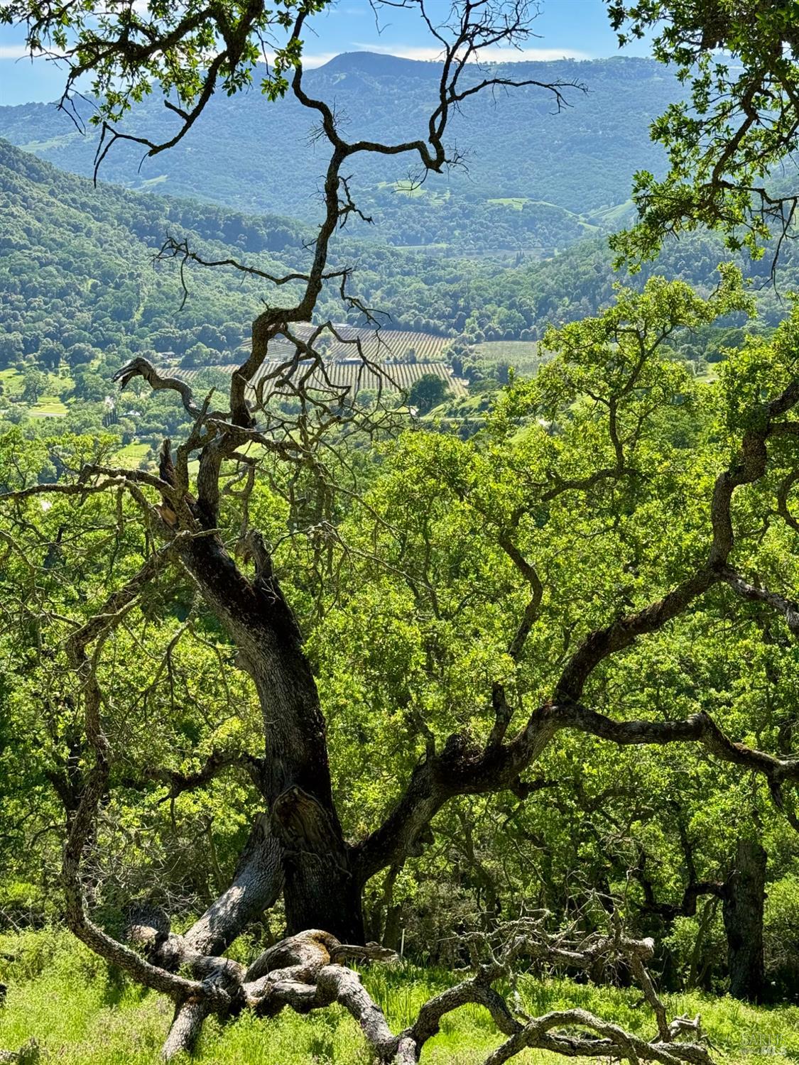 0 Grandview Road Napa CA 94558