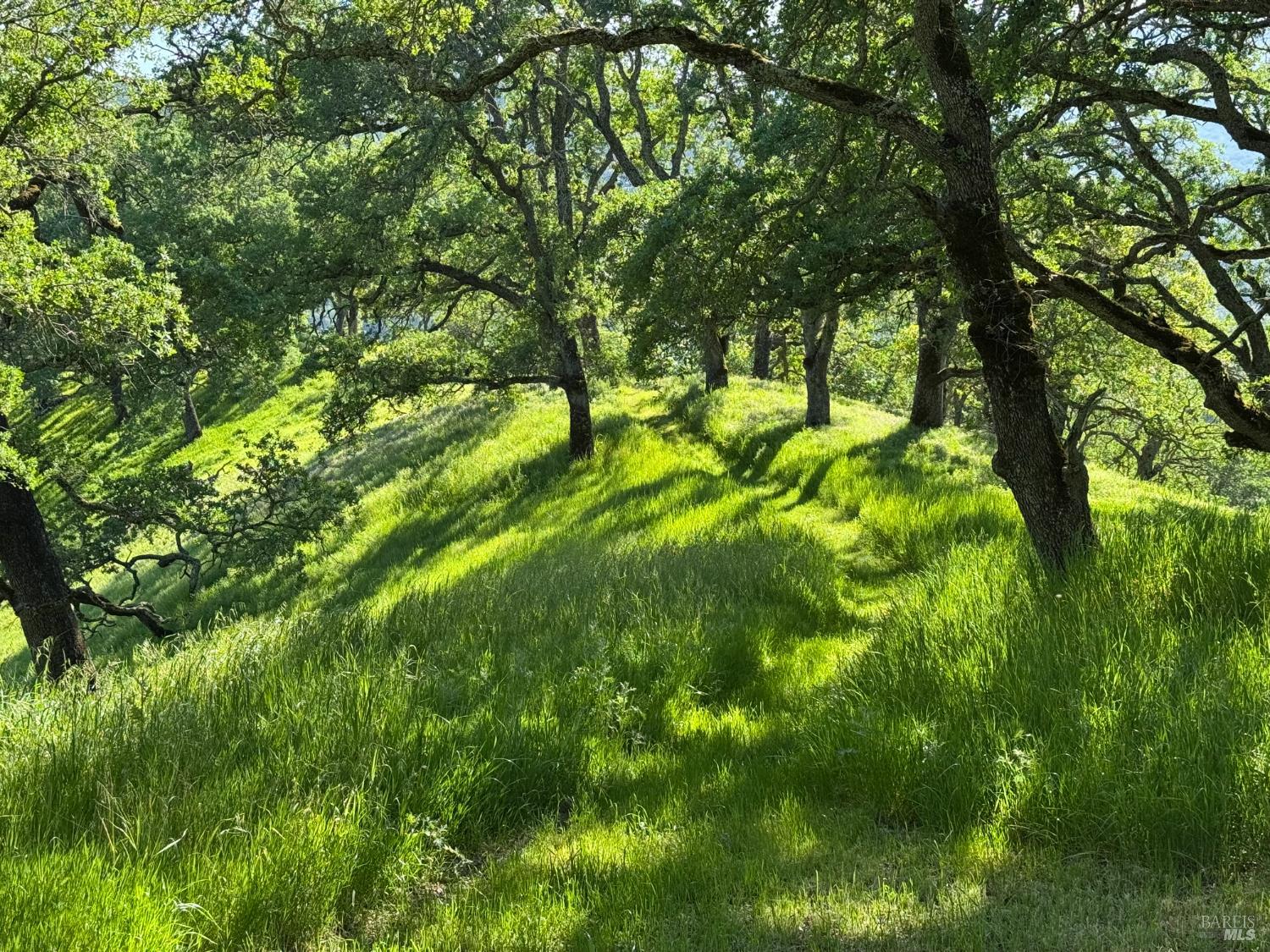0 Grandview Road Napa CA 94558