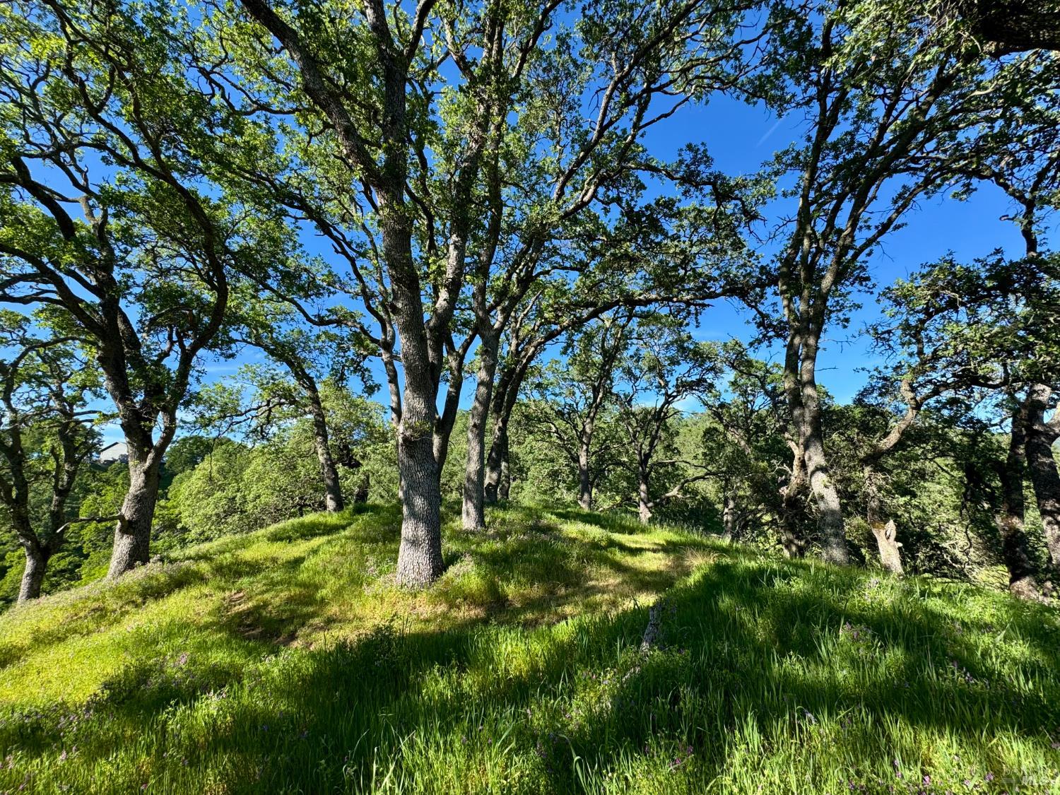 0 Grandview Road Napa CA 94558