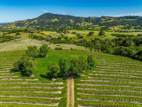 4560 Sonoma Mountain Road Santa Rosa CA 95404