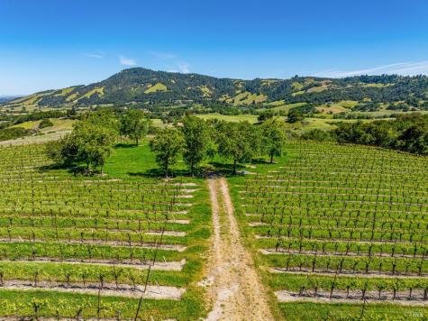 4560 Sonoma Mountain Road Santa Rosa CA 95404