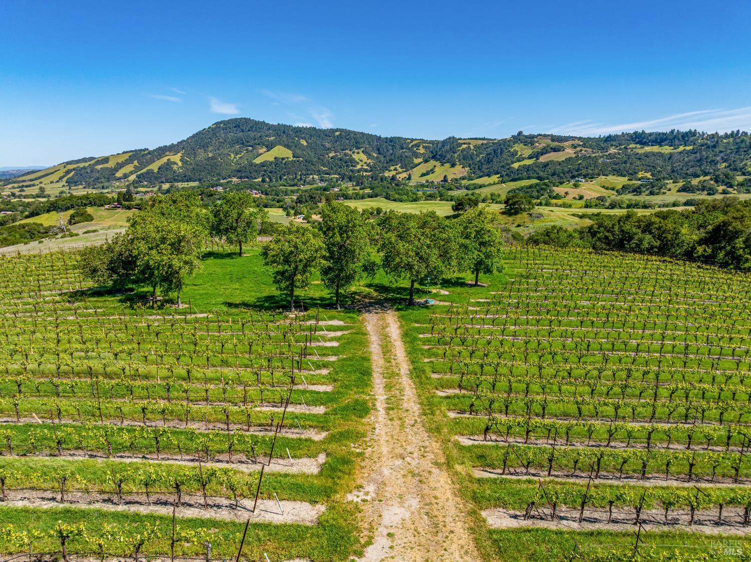 4560 Sonoma Mountain Road Santa Rosa CA 95404