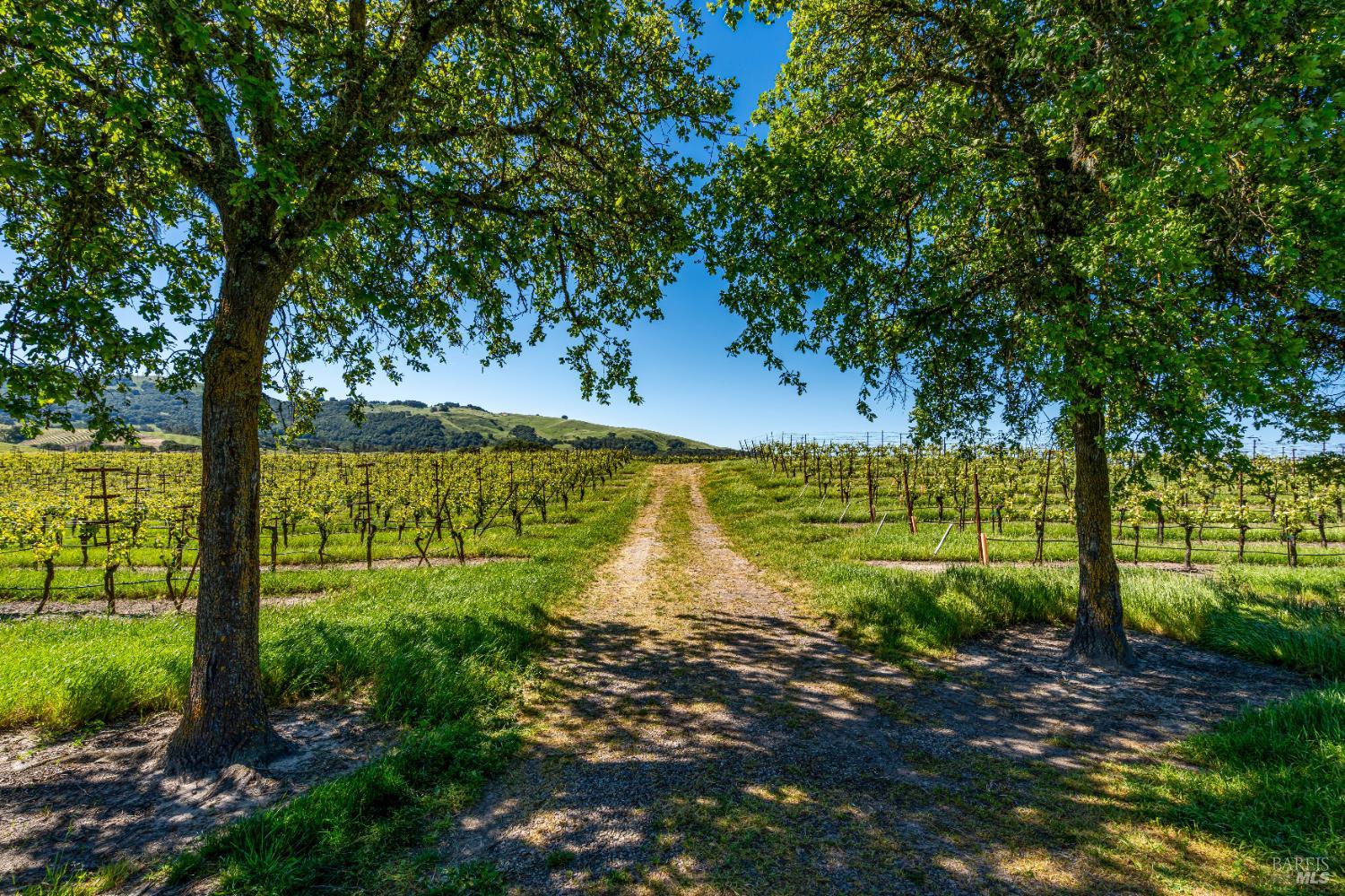 4560 Sonoma Mountain Road Santa Rosa CA 95404