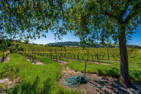 4560 Sonoma Mountain Road Santa Rosa CA 95404