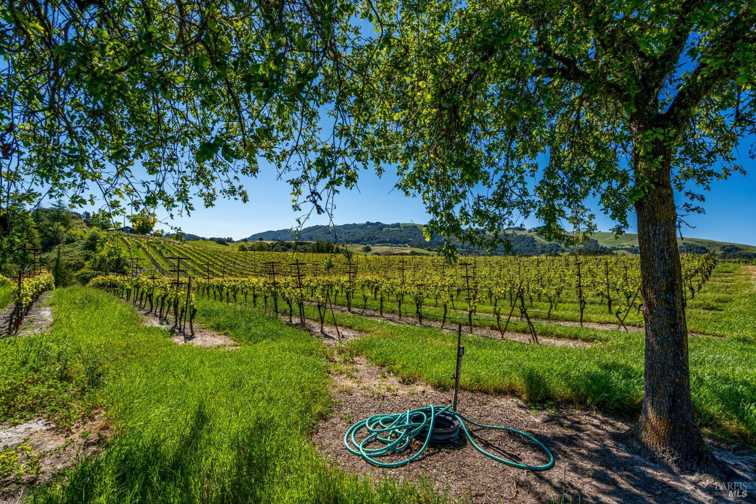 4560 Sonoma Mountain Road Santa Rosa CA 95404
