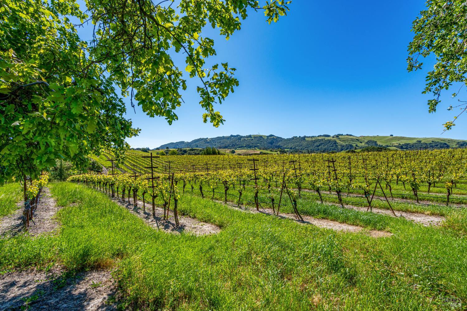 4560 Sonoma Mountain Road Santa Rosa CA 95404