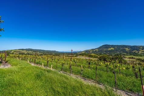 4560 Sonoma Mountain Road Santa Rosa CA 95404