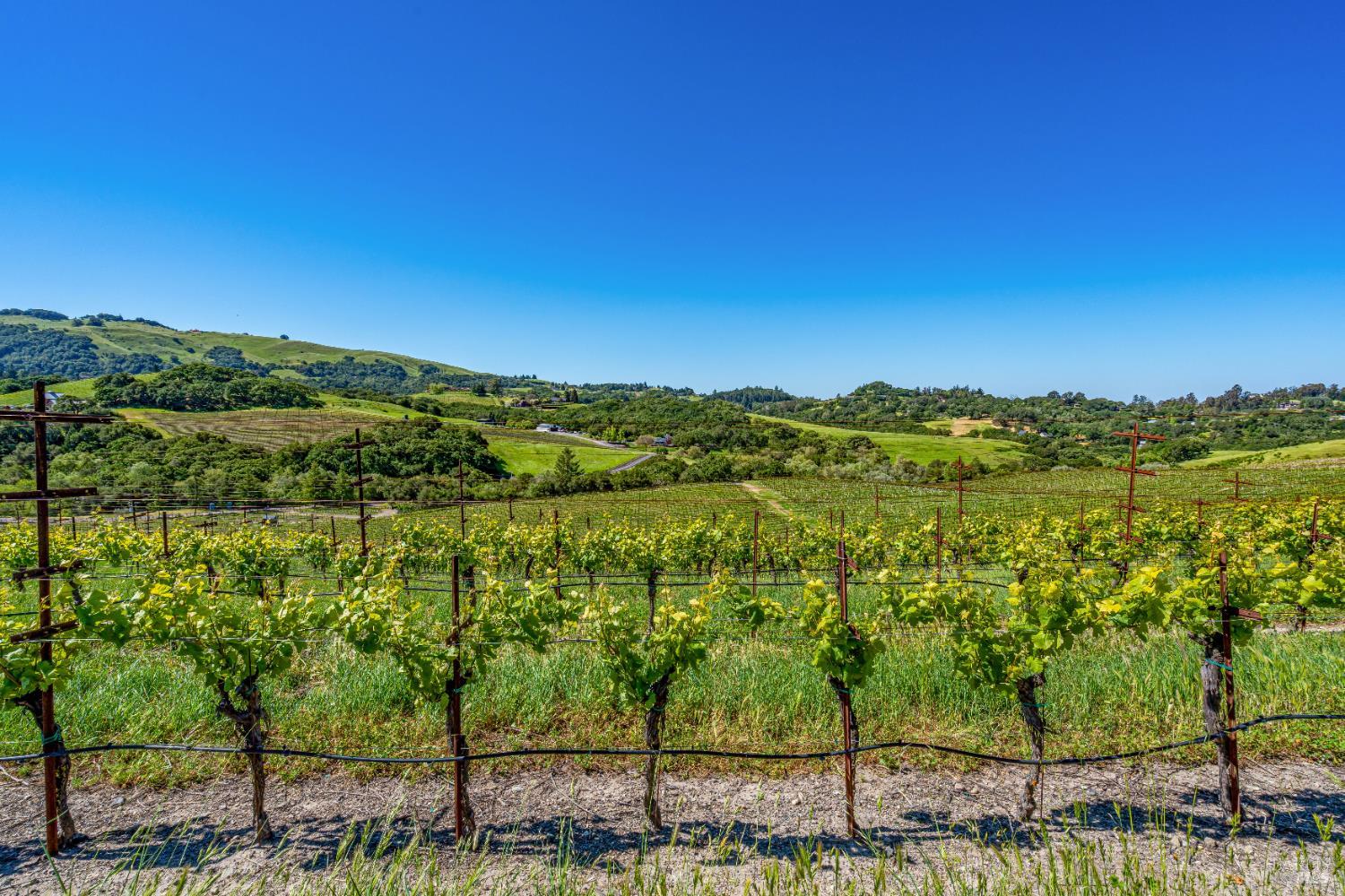 4560 Sonoma Mountain Road Santa Rosa CA 95404