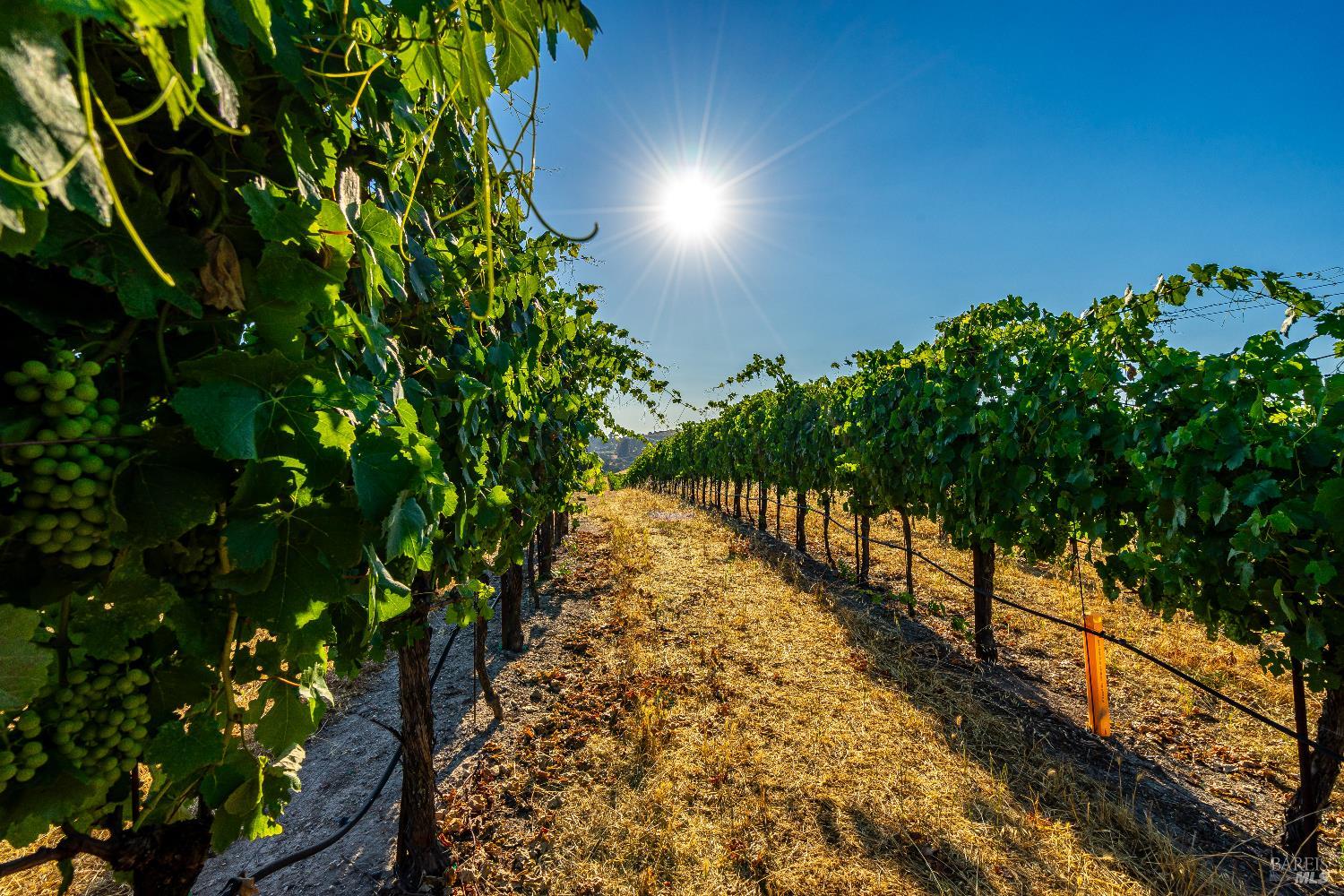 4560 Sonoma Mountain Road Santa Rosa CA 95404