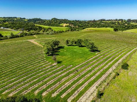 4560 Sonoma Mountain Road Santa Rosa CA 95404