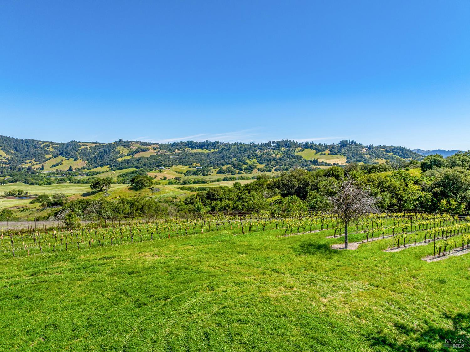 4560 Sonoma Mountain Road Santa Rosa CA 95404